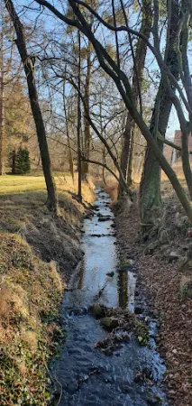 Bild von Klosterstuben auf Schloss Ballenstedt
