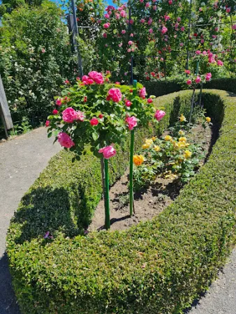 Bild von Europa-Rosarium Sangerhausen