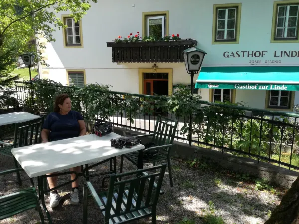 Bild von Enzo Fox