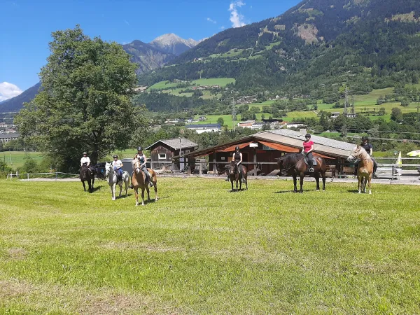 Bild von Manuela Gasser