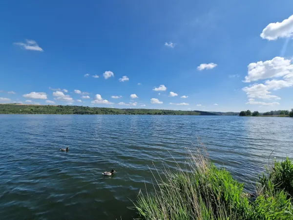 Bild von undefined