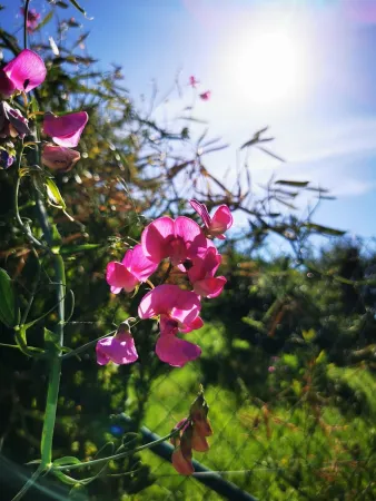 Bild von undefined