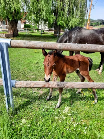 Bild von undefined