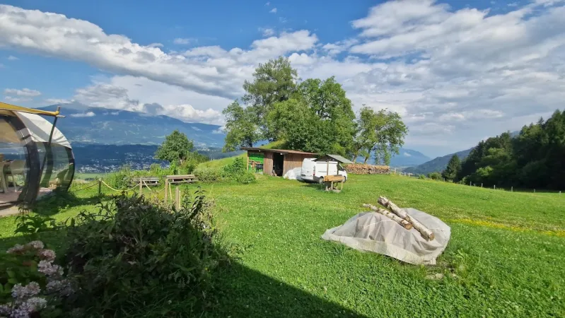 Bild von Bambii - Rettung Tiersuche per Wärmebilddrone