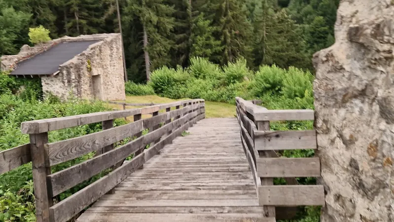 Bild von Bambii - Rettung Tiersuche per Wärmebilddrone