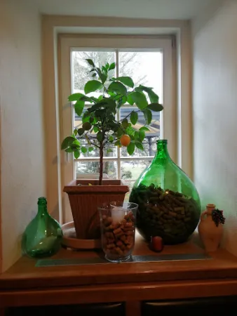 Bild von Ristorante Pizzeria Esposito