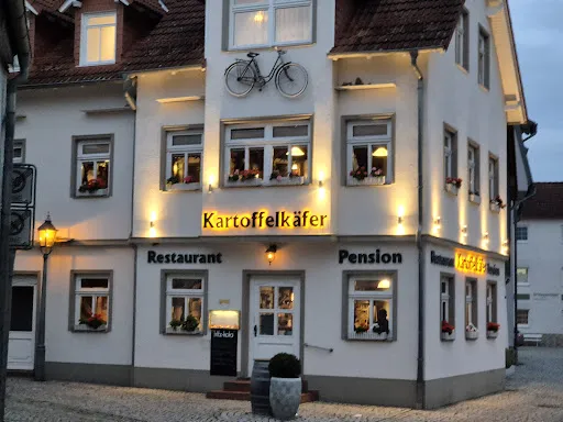 Bild von Kartoffelkäfer