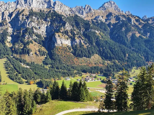 Bild von Luitgard Rappold