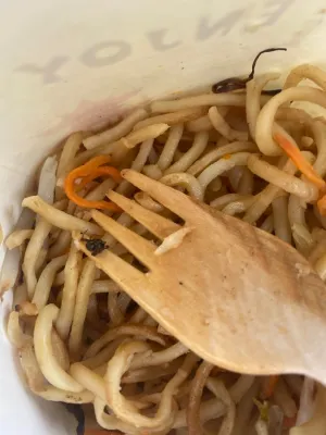 Yummy noodles & co