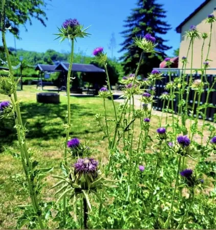 Bild von undefined