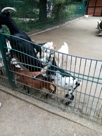 Bild von Café im Tierpark