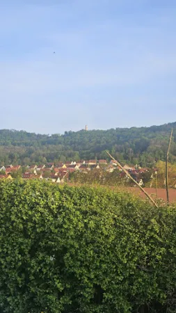Bild von Distelschänke
