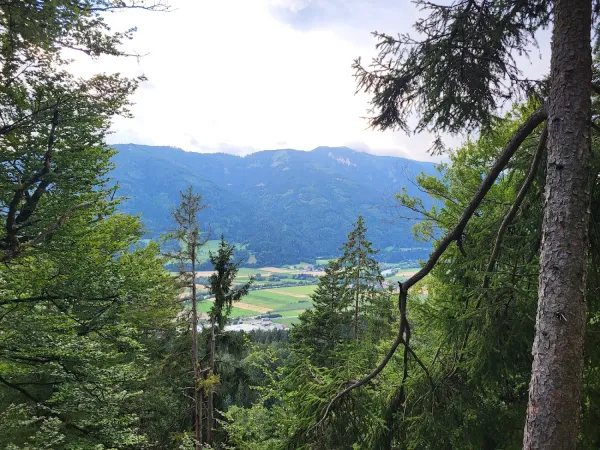 Bild von Marina Hiebert