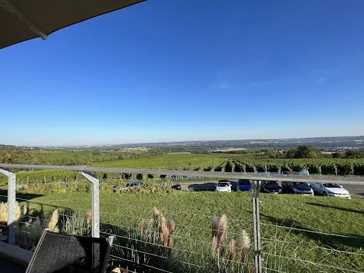 Bild von Riesling-Pier