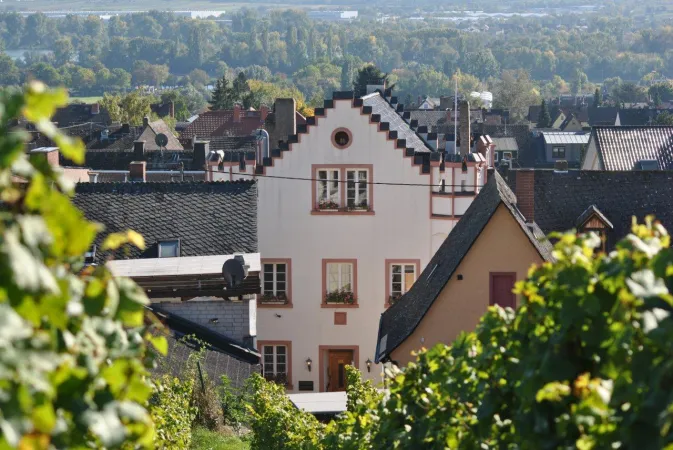 Bild von undefined