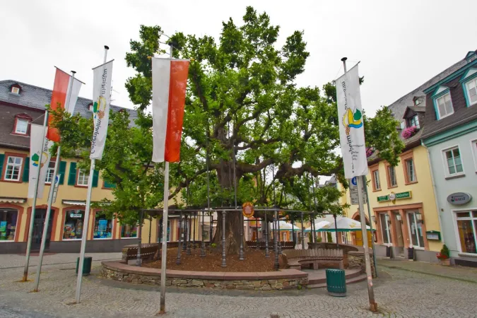 Bild von undefined