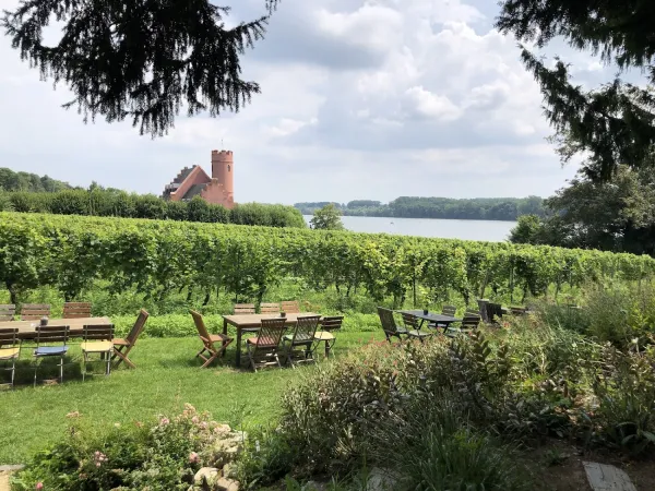 Bild von undefined
