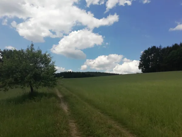 Bild von undefined
