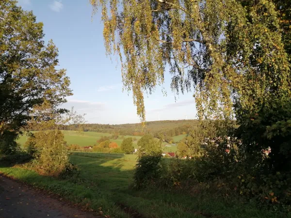 Bild von undefined