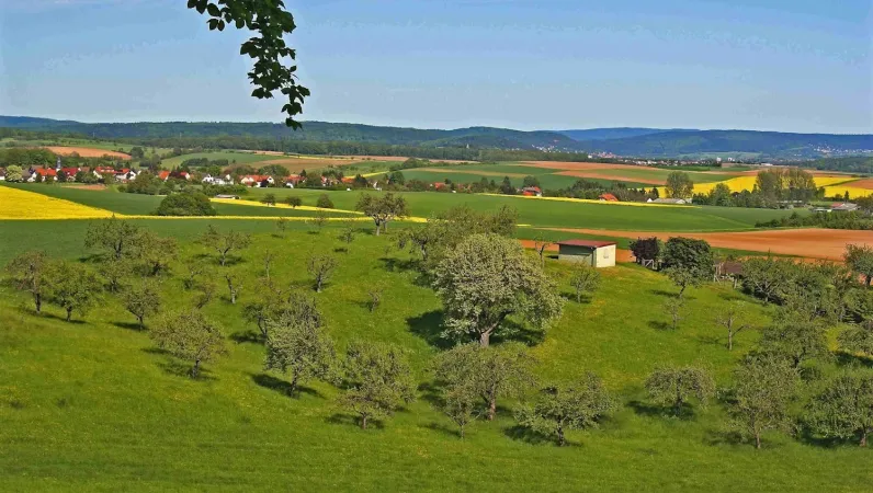 Bild von undefined