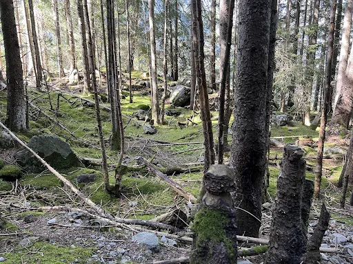 Bild von Bergrestaurant Pfingstegg