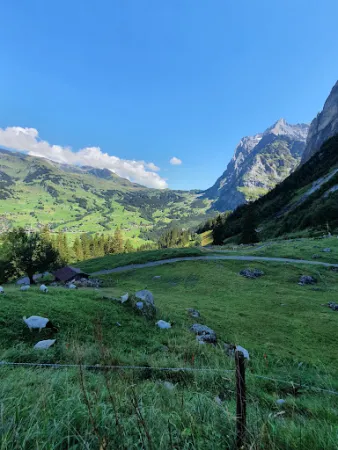 Bild von Bergrestaurant Pfingstegg