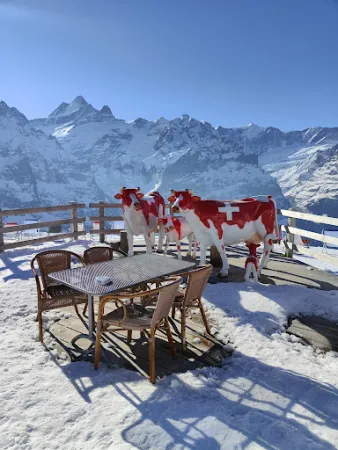 Bild von Bergrestaurant Schreckfeld