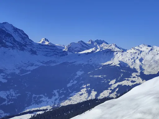 Bild von Bergrestaurant Schreckfeld