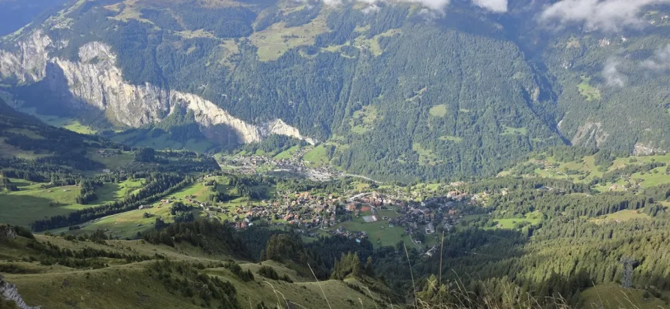 Bild von undefined