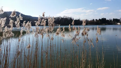 Bild von Restaurant Zum Silbersee