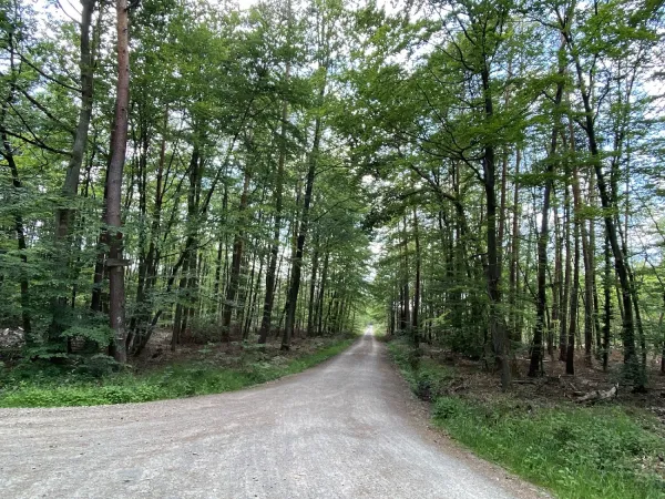 Bild von undefined