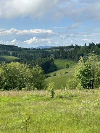 Bild von undefined