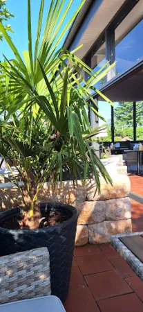 Bild von Restaurant und Cafe Zum Wehling