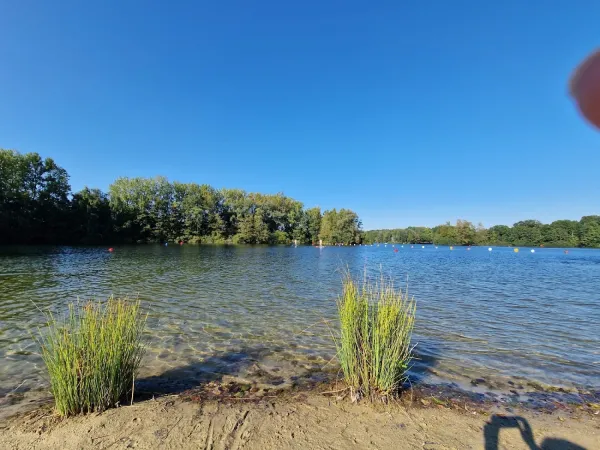 Bild von undefined