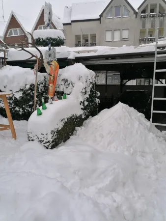 Bild von undefined