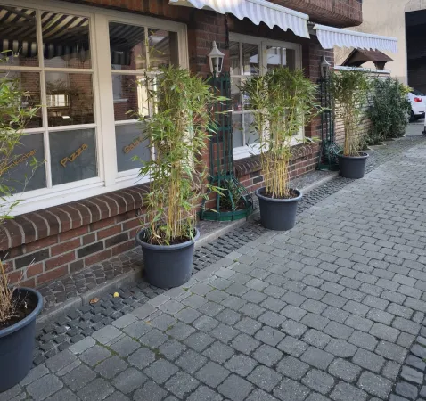 Bild von undefined