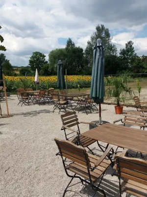 Barbara Heuriger Restaurant Ploch Khan OG