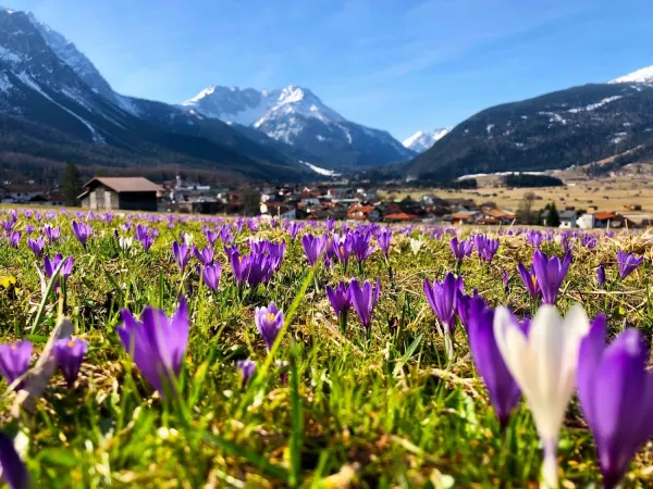 Bild von Gasthof Panorama am Wetterstein