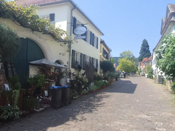 Bild von undefined