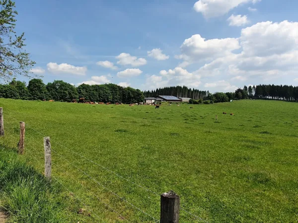 Bild von undefined
