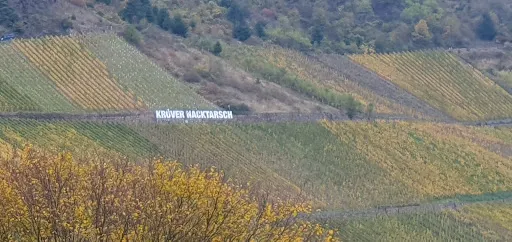 Bild von Restaurant Panorama | Kröv