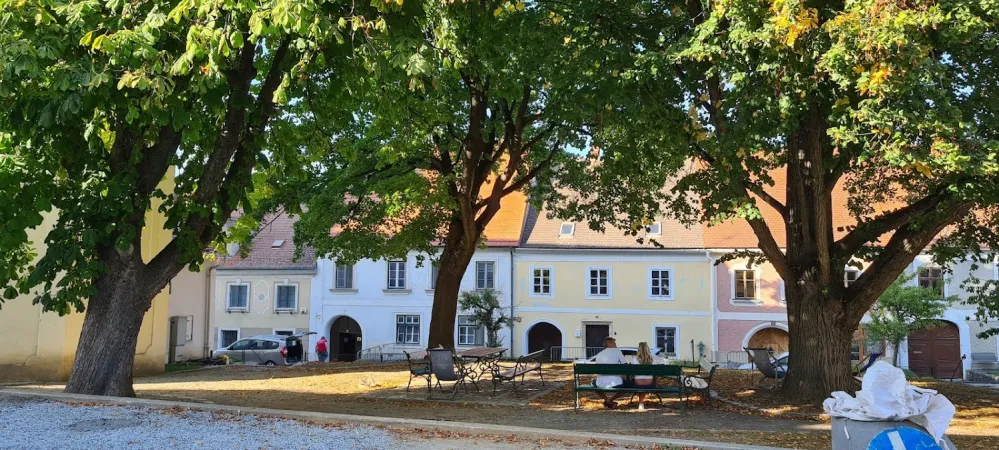 Bild von Olly Gronau