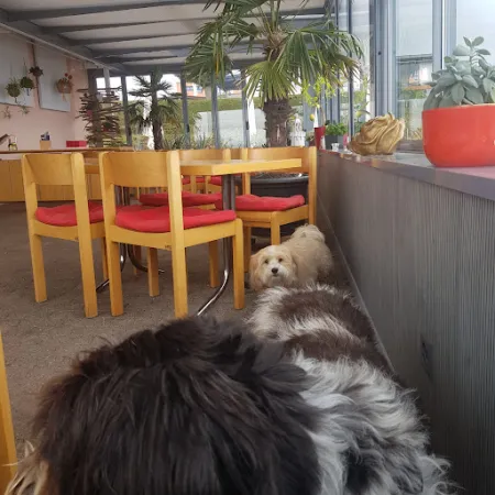Bild von Restaurant Panorama