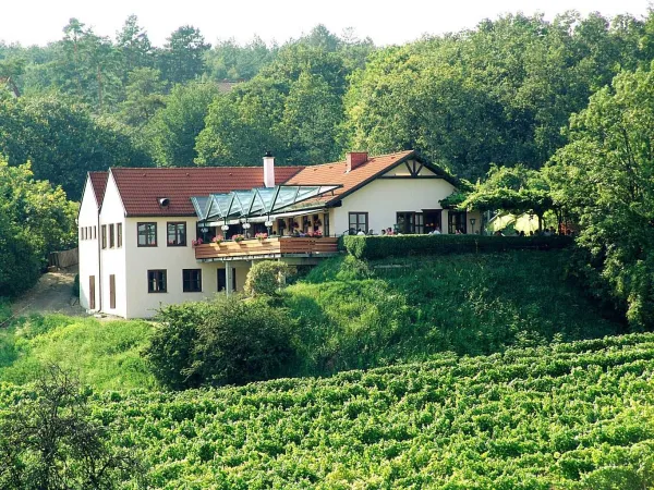 Bild von Buschenschank Humer