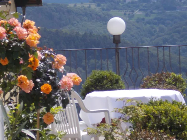 Bild von undefined