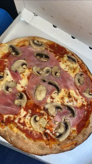 Die Zwiebel