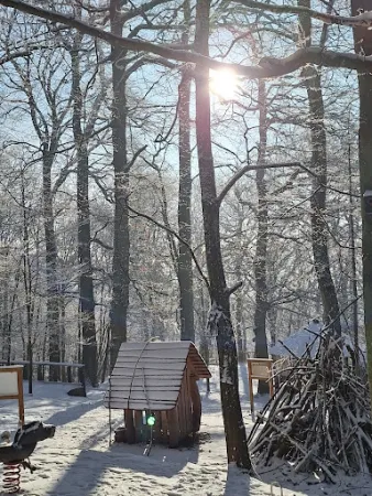 Bild von Zur Wanderhütte an Pauls Märchenwald - Sarina Blinn-Völker