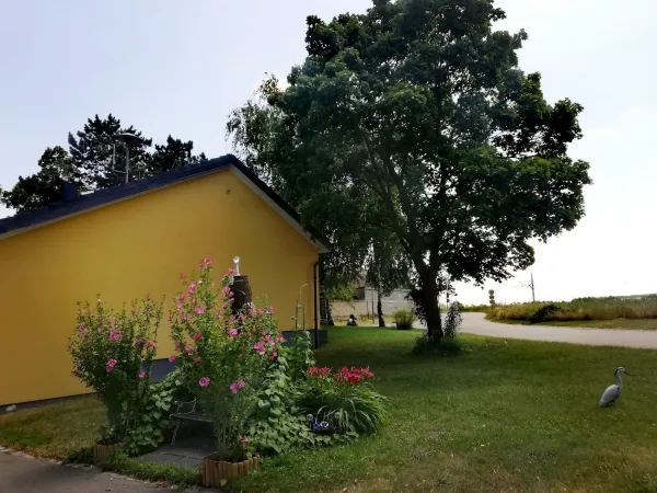 Bild von Tedi K. Grójec
