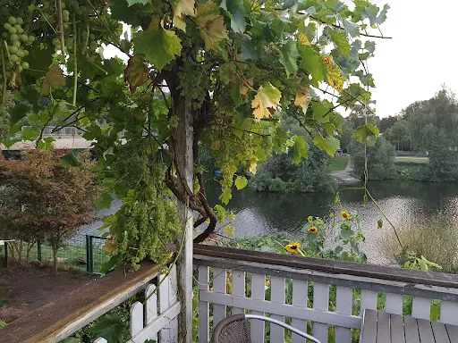 Bild von Restaurant Picasso im Ruhrblick