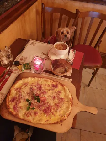 Bild von Vincafe la barca